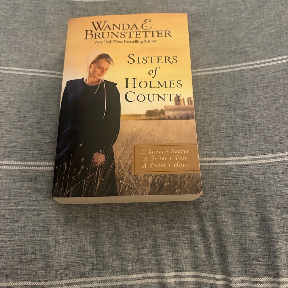Sisters of Holmes County Book